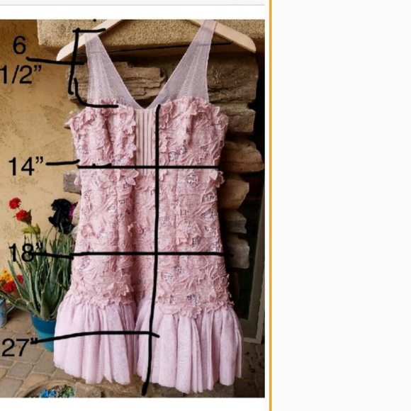 Beautiful Blush BCBGMAXAZRIA Formal Dress - Picture 5 of 5